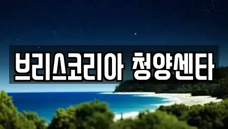 1건 피부과 정보 @ 충청남도 대치면