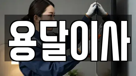 용달이사