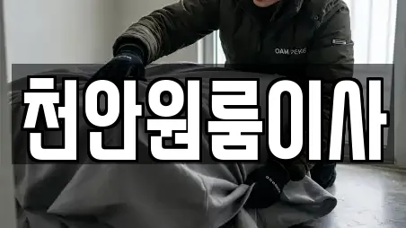 천안원룸이사