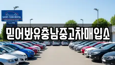 믿어봐유충남중고차매입소