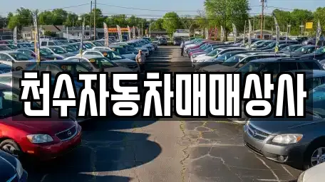 천수자동차매매상사