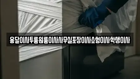 용달이사투룸원룸이사사무실포장이사소형이사학생이사