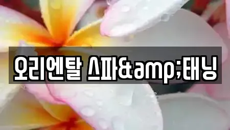 오리엔탈 스파&태닝