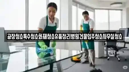 공장청소특수청소화재청소유품정리병원건물입주청소사무실청소