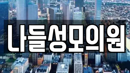 나들성모의원