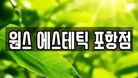 원스 에스테틱 포항점