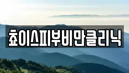 쵸이스피부비만클리닉