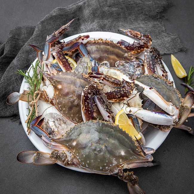 살아있는 신선함, 활꽃게 완벽 구매 & 활용 가이드 살아있는 신선함, 활꽃게 완벽 구매 & 활용 가이드