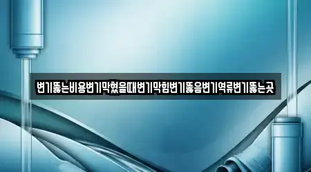 변기뚫는비용변기막혔을때변기막힘변기뚫음변기역류변기뚫는곳