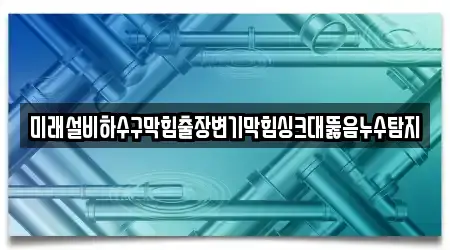 미래설비하수구막힘출장변기막힘싱크대뚫음누수탐지