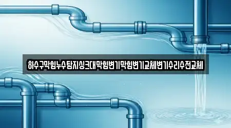 하수구막힘누수탐지싱크대막힘변기막힘변기교체변기수리수전교체