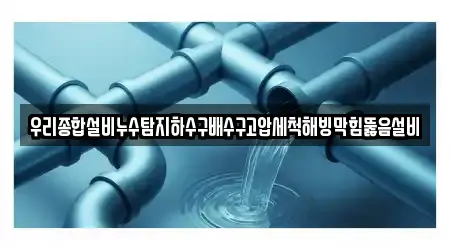 강원 강릉시 저동 배수구 뚫음 추천 리스트 1곳