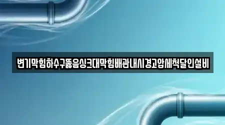 변기막힘하수구뚫음싱크대막힘배관내시경고압세척달인설비