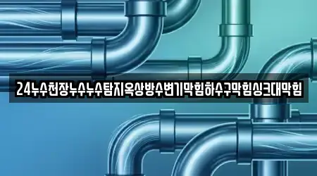 24누수천장누수누수탐지옥상방수변기막힘하수구막힘싱크대막힘