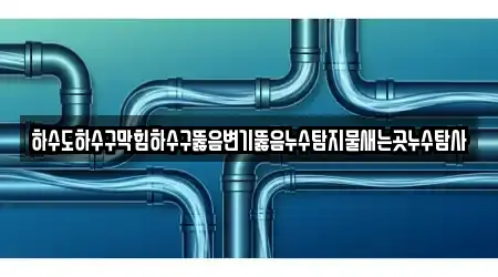 하수도하수구막힘하수구뚫음변기뚫음누수탐지물새는곳누수탐사