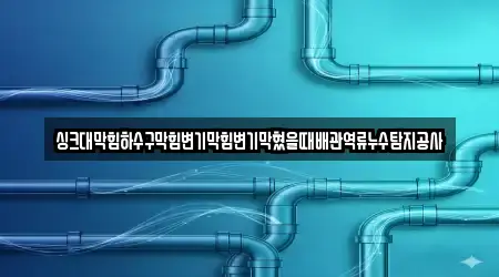 싱크대막힘하수구막힘변기막힘변기막혔을때배관역류누수탐지공사