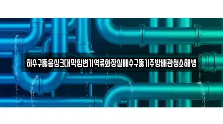하수구뚫음싱크대막힘변기역류화장실배수구뚫기주방배관청소해빙