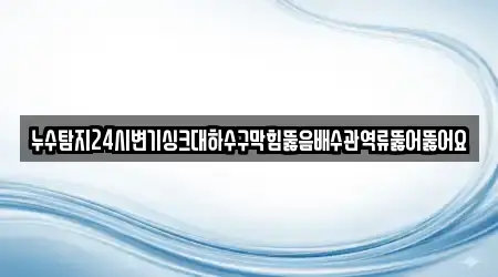 누수탐지24시변기싱크대하수구막힘뚫음배수관역류뚫어뚫어요