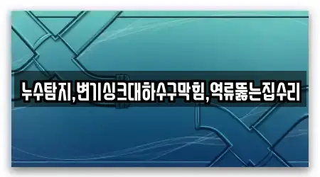 누수탐지,변기싱크대하수구막힘,역류뚫는집수리