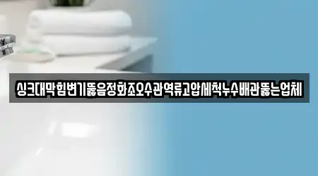 싱크대막힘변기뚫음정화조오수관역류고압세척누수배관뚫는업체