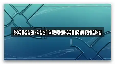 하수구뚫음싱크대막힘변기역류화장실배수구뚫기주방배관청소해빙