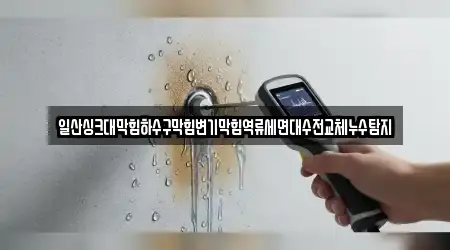 일산싱크대막힘하수구막힘변기막힘역류세면대수전교체누수탐지