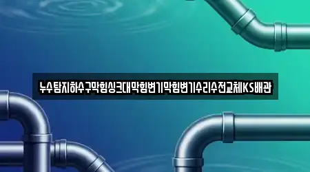 누수탐지하수구막힘싱크대막힘변기막힘변기수리수전교체KS배관
