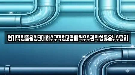 변기막힘뚫음싱크대하수구막힘고압세척우수관막힘뚫음누수탐지