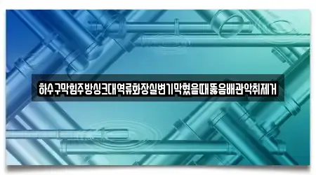 하수구막힘주방싱크대역류화장실변기막혔을때뚫음배관악취제거