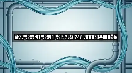 하수구막힘싱크대막힘변기막힘누수탐지24시간대기30분이내출동