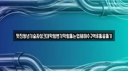 멋진청년기술자싱크대막힘변기막힘뚫는업체하수구역류뚫음뚫기