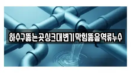 하수구뚫는곳싱크대변기막힘뚫음역류누수