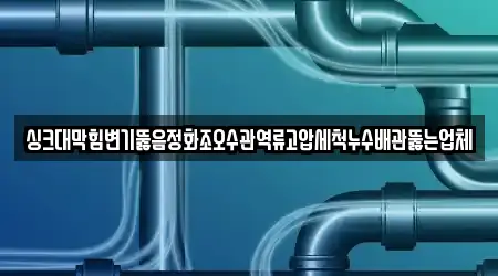 싱크대막힘변기뚫음정화조오수관역류고압세척누수배관뚫는업체