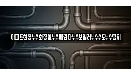 아파트천장누수화장실누수베란다누수보일러누수수도누수탐지