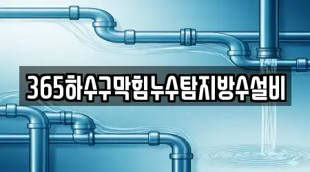 365하수구막힘누수탐지방수설비