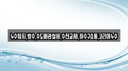 누수탐지,방수,수도배관설비,수전교체,하수구소통,코리아누수