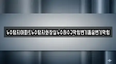 누수탐지아파트누수탐지화장실누수하수구막힘변기뚫음변기막힘