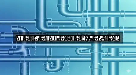 배관막힘 가까운 4 경북 용흥동 정보
