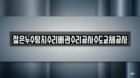 젊은누수탐지수리배관수리공사수도교체공사