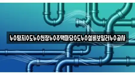 누수탐지수도누수천장누수주택마당수도누수설비보일러누수공사