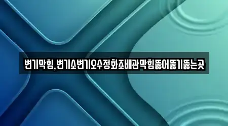 변기막힘,변기소변기오수정화조배관막힘뚫어뚫기뚫는곳