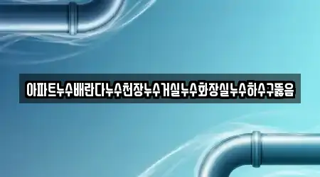 아파트누수배란다누수천장누수거실누수화장실누수하수구뚫음