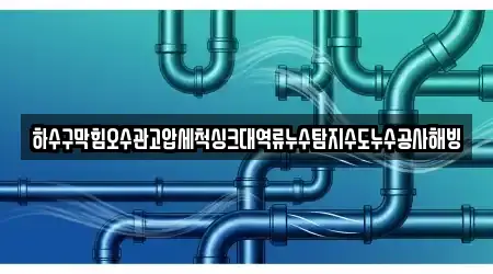 하수구막힘오수관고압세척싱크대역류누수탐지수도누수공사해빙