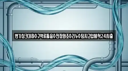변기싱크대하수구역류뚫음수전정화조수리누수탐지고압세척24시출