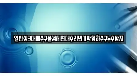 일산싱크대배수구물샘세면대수리변기막힘하수구누수탐지