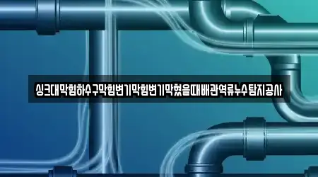 싱크대막힘하수구막힘변기막힘변기막혔을때배관역류누수탐지공사