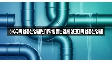 하수구막힘뚫는업체변기막힘뚫는업체싱크대막힘뚫는업체