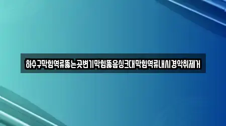 하수구막힘역류뚫는곳변기막힘뚫음싱크대막힘역류내시경악취제거