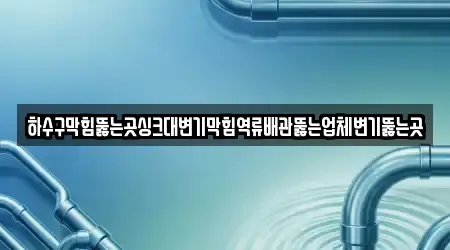 하수구막힘뚫는곳싱크대변기막힘역류배관뚫는업체변기뚫는곳
