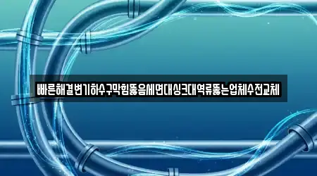 빠른해결변기하수구막힘뚫음세면대싱크대역류뚫는업체수전교체